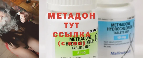хмурый Аркадак