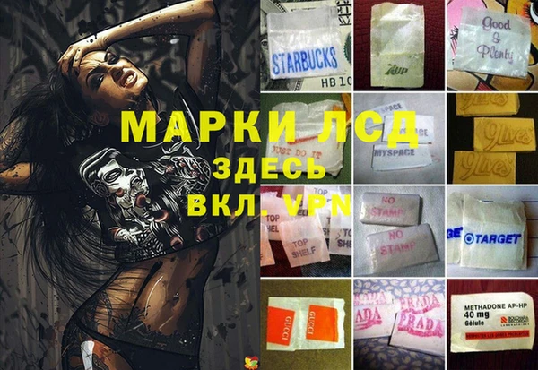стаф Армянск