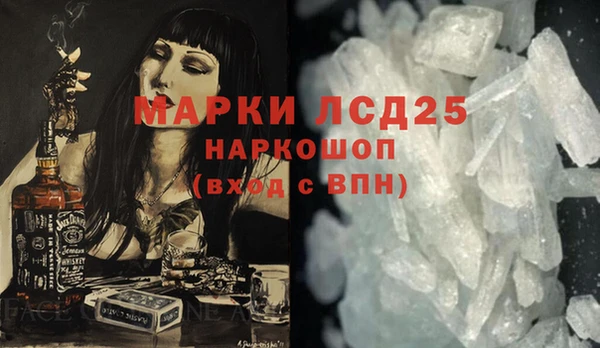 хмурый Аркадак