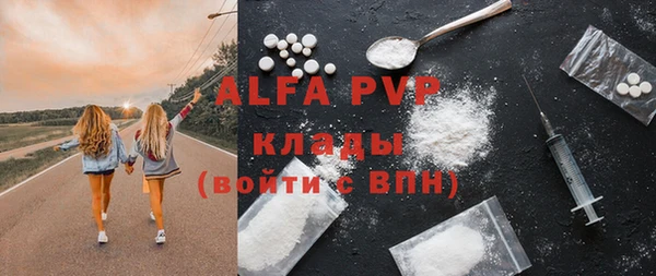 хмурый Аркадак