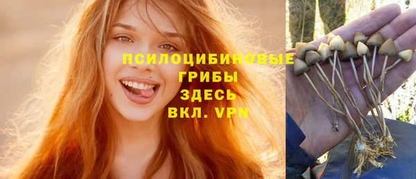 MDMA Алексеевка