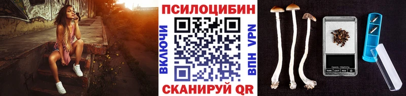 закладки  Светлоград  МЕГА ONION  Псилоцибиновые грибы Psilocybine cubensis 